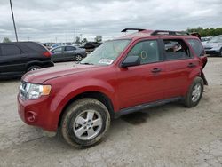 2011 Ford Escape XLT en venta en Indianapolis, IN