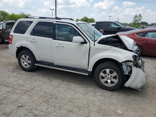 2011 Ford Escape Limited