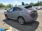 2013 Lexus RX 450