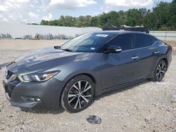 Salvage cars for sale at New Braunfels, TX auction: 2017 Nissan Maxima 3.5S