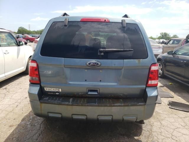 2010 Ford Escape XLT