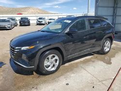 Salvage cars for sale at Albuquerque, NM auction: 2024 Hyundai Tucson SEL