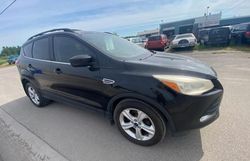 Buy Salvage Cars For Sale now at auction: 2013 Ford Escape SE