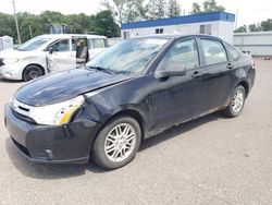 Vehiculos salvage en venta de Copart Ham Lake, MN: 2009 Ford Focus SE