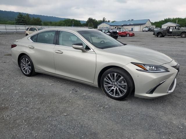 2020 Lexus ES 300H