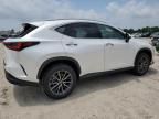 2024 Lexus NX 350H Base