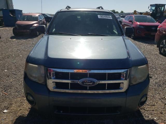 2010 Ford Escape XLT