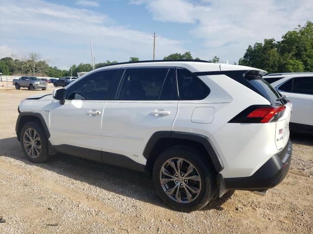 2023 Toyota Rav4 XLE Premium