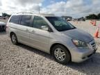 2005 Honda Odyssey EXL