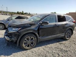 Salvage cars for sale at Mentone, CA auction: 2021 Honda CR-V EX