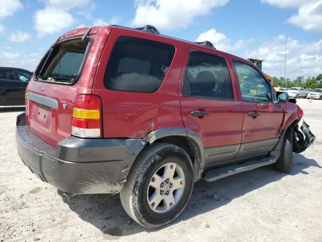 2006 Ford Escape XLT