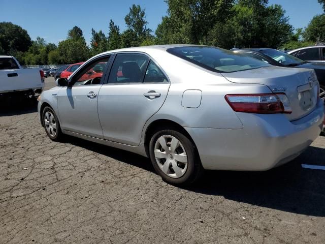 2009 Toyota Camry Hybrid