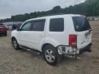 2009 Honda Pilot EXL