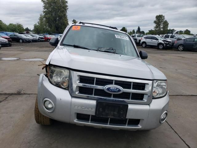 2011 Ford Escape XLT