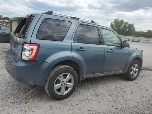 2010 Ford Escape Limited