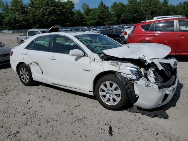 2009 Toyota Camry Hybrid