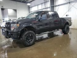 Ford salvage cars for sale: 2013 Ford F150 Supercrew