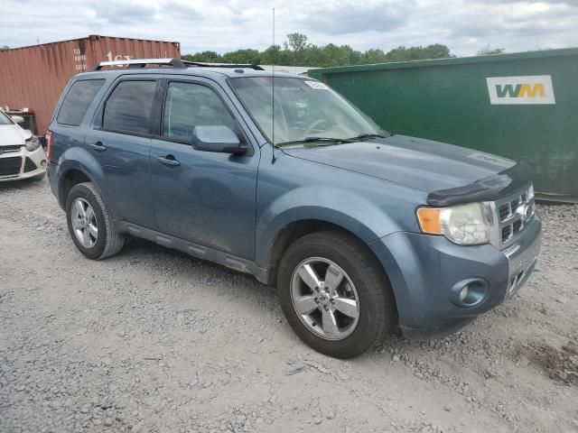 2010 Ford Escape Limited