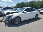 2011 Honda Accord EXL