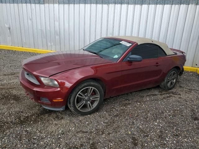 2010 Ford Mustang