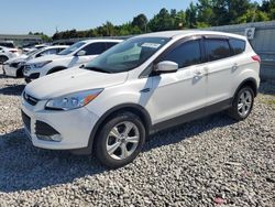 Salvage cars for sale at Memphis, TN auction: 2016 Ford Escape SE