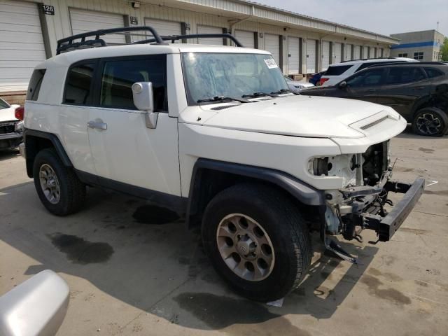 2013 Toyota FJ Cruiser