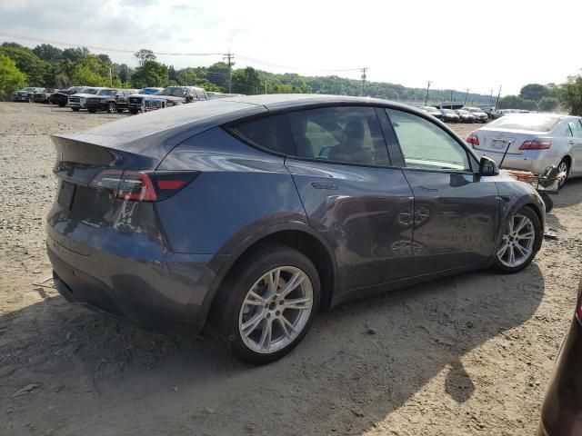 2020 Tesla Model Y