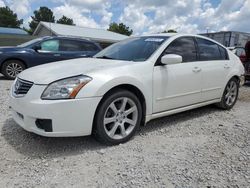 Salvage cars for sale at Prairie Grove, AR auction: 2008 Nissan Maxima SE