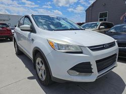 Salvage cars for sale from Copart Columbus, OH: 2013 Ford Escape SE