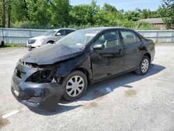 Salvage cars for sale at Albany, NY auction: 2009 Toyota Corolla Base