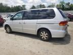 2003 Honda Odyssey EX