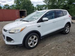Salvage cars for sale at auction: 2014 Ford Escape SE