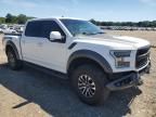 2018 Ford F150 Raptor