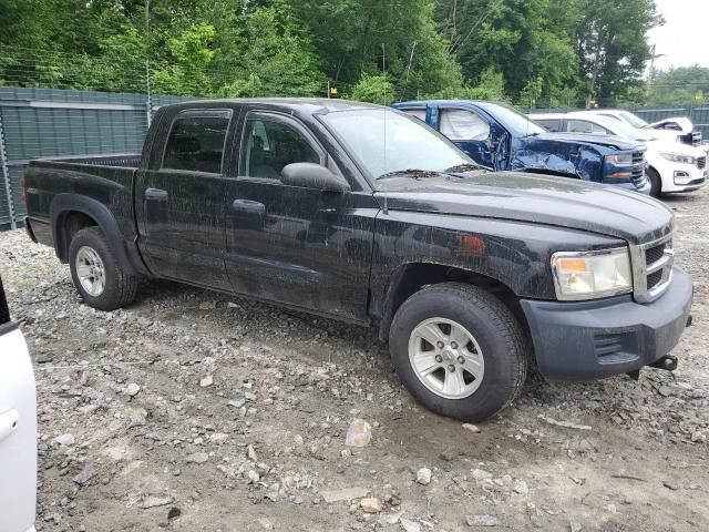 2008 Dodge Dakota SXT