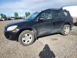 Toyota salvage cars for sale: 2010 Toyota Rav4