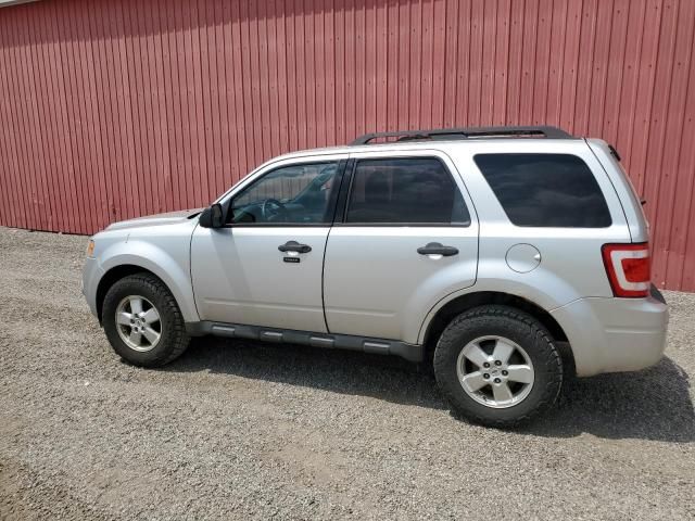 2010 Ford Escape XLT