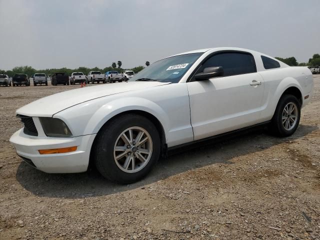 2005 Ford Mustang