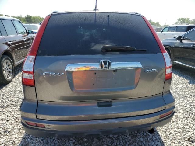 2010 Honda CR-V EXL