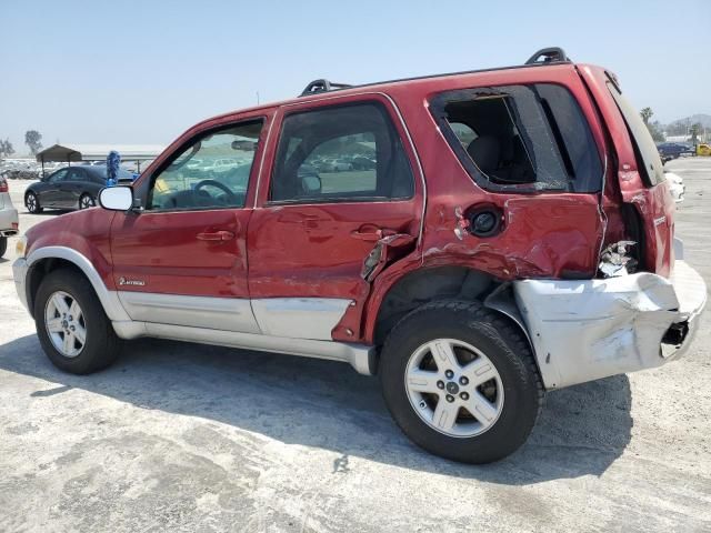 2006 Ford Escape HEV