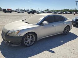 Nissan Maxima S Vehiculos salvage en venta: 2009 Nissan Maxima S