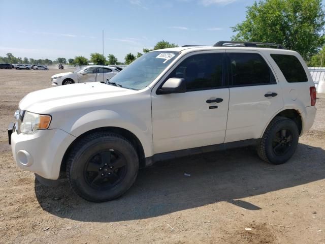 2011 Ford Escape XLT