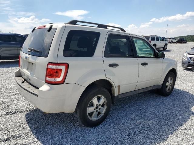 2011 Ford Escape XLT