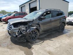 Ford salvage cars for sale: 2019 Ford Escape SE