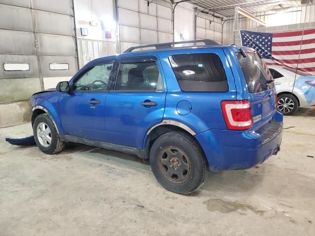 2011 Ford Escape XLT