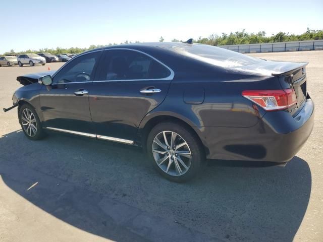 2010 Lexus ES 350