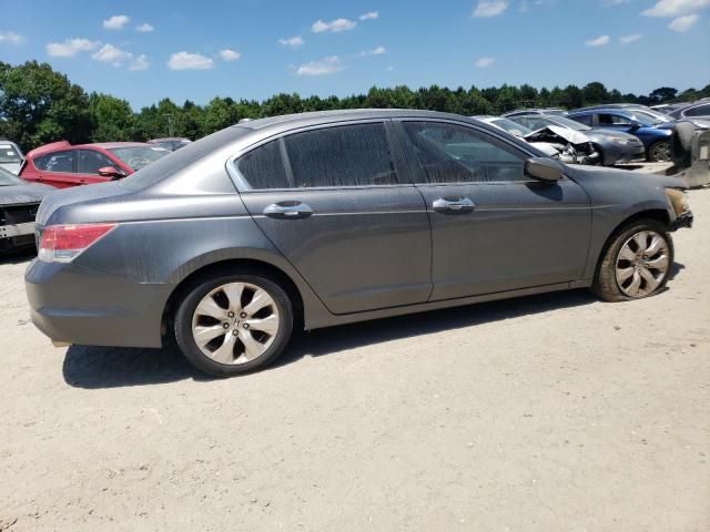 2008 Honda Accord EXL