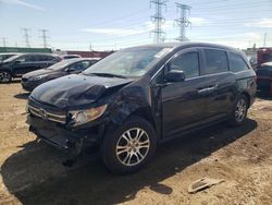 Salvage cars for sale at Elgin, IL auction: 2012 Honda Odyssey EXL