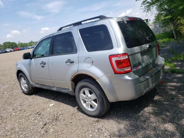 2010 Ford Escape XLT