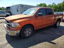 Dodge Vehiculos salvage en venta: 2010 Dodge RAM 1500