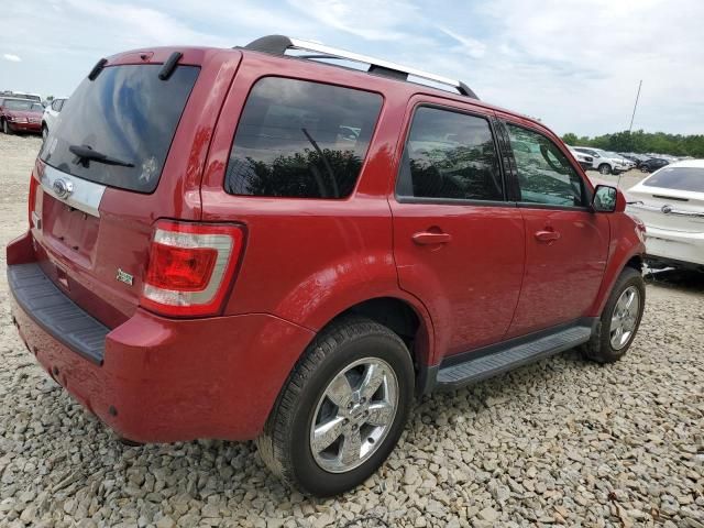 2011 Ford Escape Limited